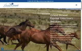 Grand Strand Equine
