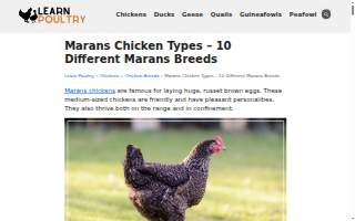 Maran Gene I MD