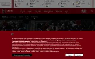 Lizama Carriers LLC website