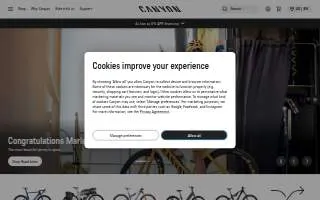 Canyon View Medical Group- Springville website