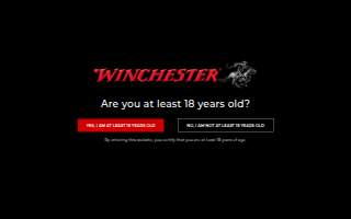 Winchester Foreign & Domestic Automotive Repair