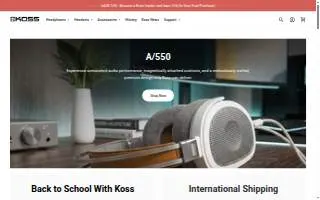 Koss Carol H CPA website