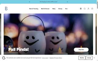 Basin Insurance