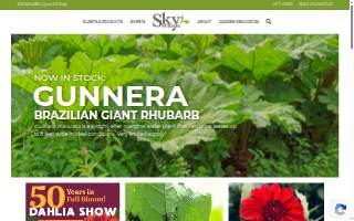 Sky Nursery