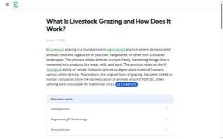 Grazing Gouda