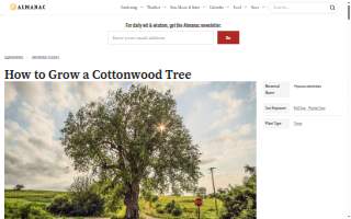 Cottonwood Creek Clinic