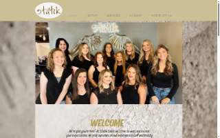 Statik Salon
