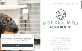 Moores Mill Animal Hospital website