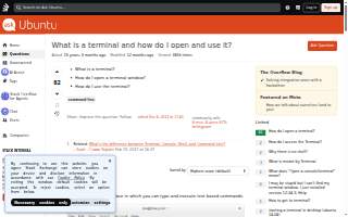 Terminal Transport Inc