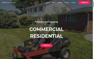 Martinez Landscaping & More LLC
