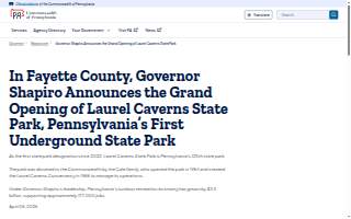 Laurel Tax & Immigration Services website