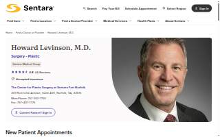 Levinson Painting