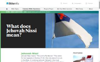 Nissi Tax Pro LLC website
