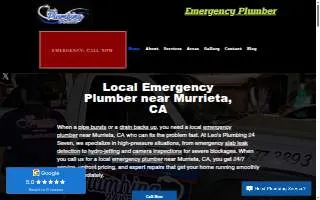 Leo's Plumbing 24 Seven website