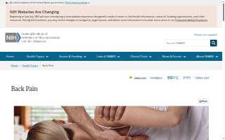 Back In Motion Physical Therapy & Performance - Estero
