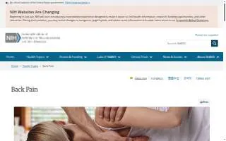Back In Motion Physical Therapy & Performance - Estero website