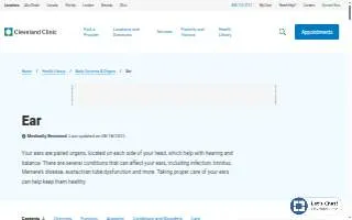 Ear Nose & Throat Associates of Citrus Park website