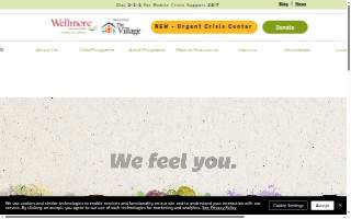 Wellmore | Child & Adolescent Behavioral Health Services
