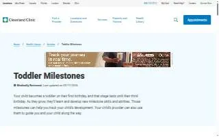 The Toddler Club website
