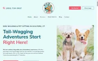 WHISKERS PET SITTING/DOG WALKING SERVICE, LLC of West Haven website