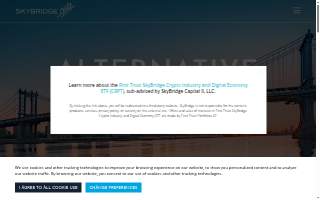 Skybridge Computers website