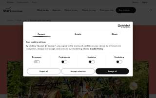 Children of America Wethersfield