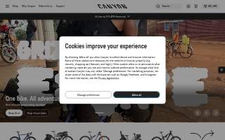 Canyon IT LLC