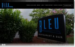 Bleu Diamond Designz llc