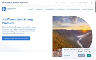 Diversified LLC