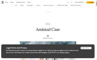 Amistad Insurance | Affordable Insurance Bradenton