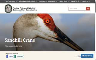 Sandhill Photography