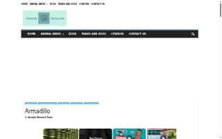 Armadillo Concrete, LLC