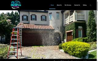 369 Pro-Cleaning website