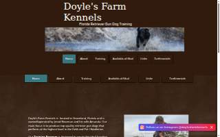 Doyle's Farm Kennels of Clermont