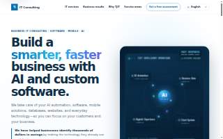 TJ IT Consulting - Software Company