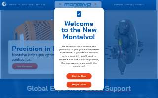 Montalvo Rolon Sotomayor, LLC Consulting Firm