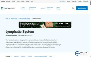 Lymphatic Massage of Florida