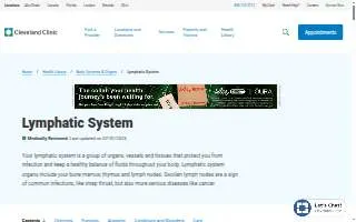 Lymphatic Massage of Florida website