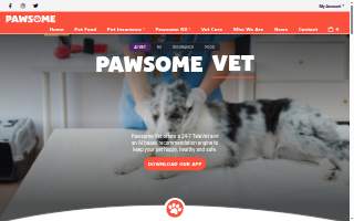 Pawsome Pet Sitter & Boarding