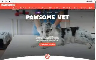 PAWSOME NANNY website