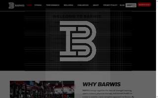 BARWIS MMA - Jiu-Jitsu & Wrestling
