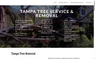 Tampa Tree Service
