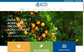 Alico Center Auto & Tire Services