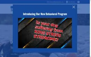 Full Stride Agility website