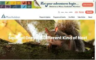 Drey Nimmo | Realtor | Pensacola FL website