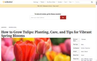 Tulip Carpet Cleaning Fort Lauderdale