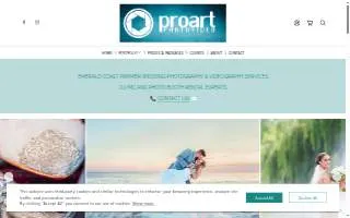 Pro Art Photo Video, Inc website