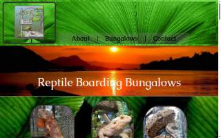 Reptile Boarding Bungalows