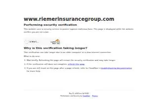 Riemer Insurance Group website