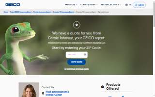 Carole Johnson - GEICO Insurance Agent